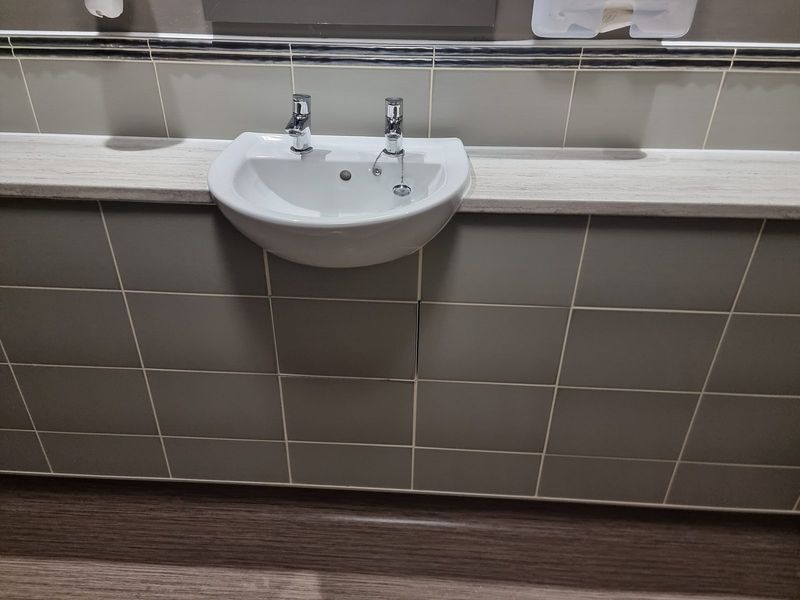 Wall-mounted accessible wash basin with twin pillar taps and grab rail visible — Smith EcoFlow accessible washroom installation
