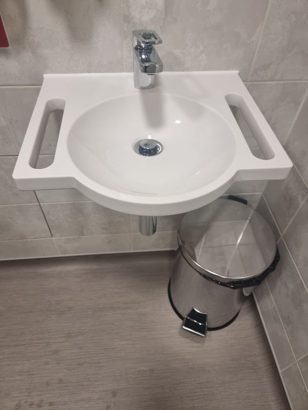 DDA-compliant accessible wash basin with integrated grab handles either side and easy-grip lever mixer tap — Smith EcoFlow disabled access plumbing